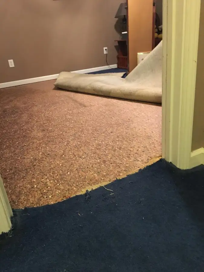 Carpet pad removal revealing water damage during Drying & Dehumidification in Fort Pierce North