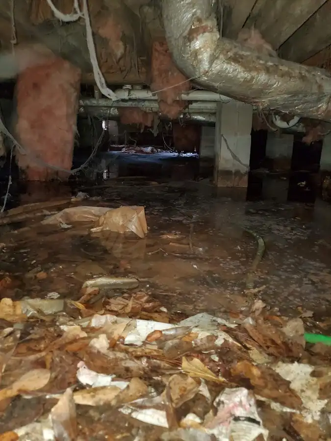 Crawl space flood assessment for Commercial Water Damage Restoration in Fort Pierce North